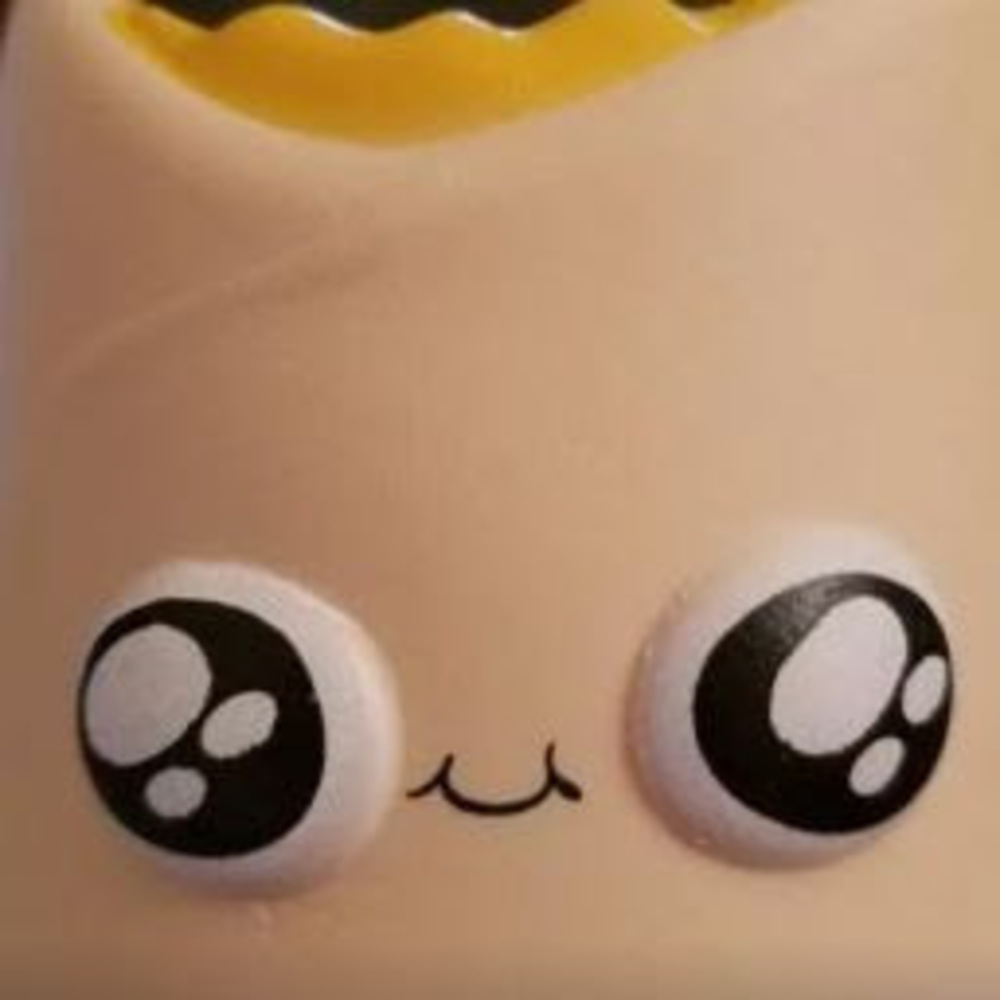 Meet your Posher, Raymond